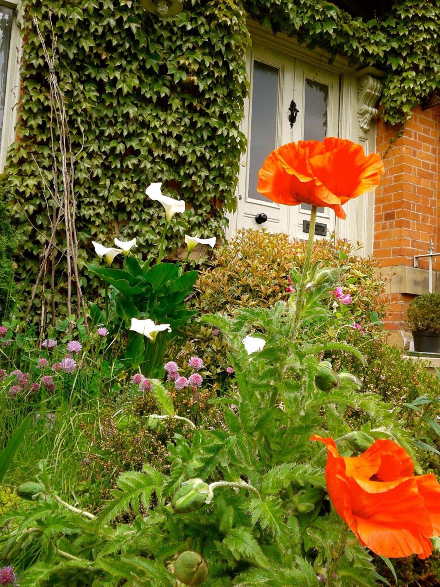 Cornerstones Guest House Sale Buitenkant foto
